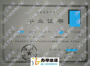 江苏大学2008年毕业证