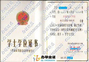 吉林化工学院1996年学位证书