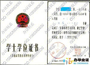 桂林工学院1994年老版学位证书