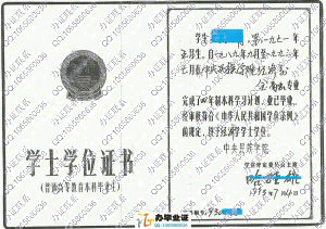 中央民族学院1993年老版学位证