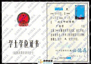 北京印刷学院2004年学位证书