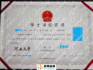 河南大学2011年学位证