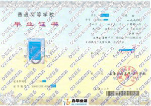 上海医药高等专科学校2011年毕业证