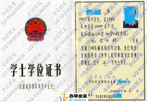 北京化工大学2000年学位证