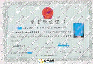 北京语言大学2012年网络教育学位证
