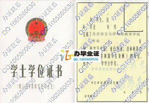 北京语言大学网络教育老版学位证书样本