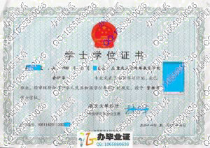重庆大学2011年网络教育学位证样本