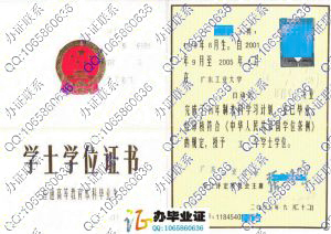 广东工业大学2005年学位证样本