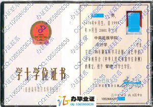中南民族学院2001年学位证