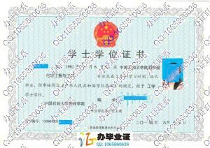 中国石油大学胜利学院2014年学位证