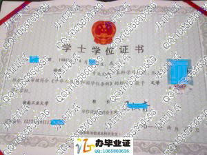 湖南工业大学科技学院2011年学位证