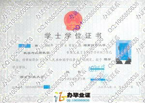 湖南科技大学2008年学位证