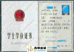 哈尔滨工程大学2004年成人教育学位证