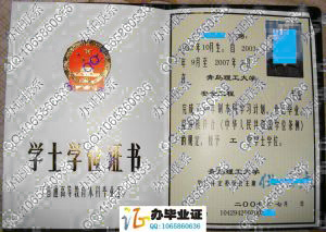 青岛理工大学2007年学位证样本