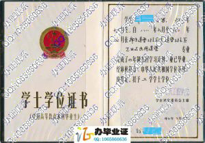 南京建筑工程学院老版学位证样本