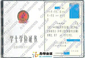 武汉工程大学07年学士学位证