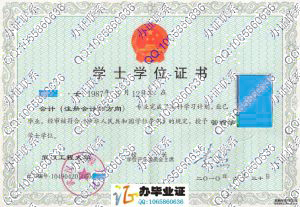 武汉工程大学2010年学位证