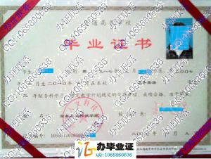 湖南人文科技学院2010年毕业证
