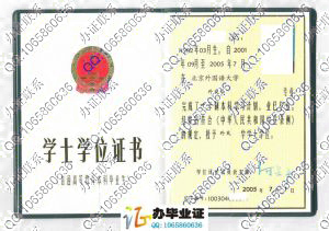 北京外国语大学2005年学位证