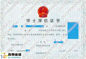 北京外国语大学2009年学位证书