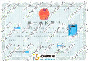 蚌埠医学院2009年学位证样本