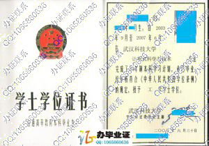 武汉科技大学2007年学位证