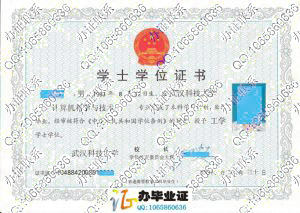 武汉科技大学2008年学位证书
