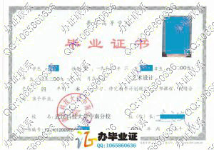 武汉科技大学中南分校2009年毕业证