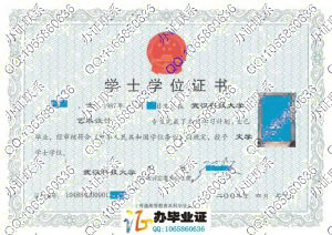 武汉科技大学中南分校2009年学位证