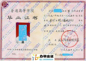 武汉冶金科技大学1995年本科毕业证