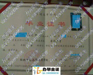 桂林师范高等专科学校2011年毕业证