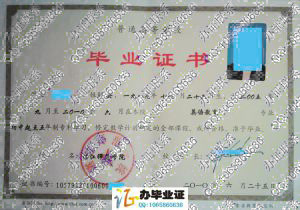 湛江师范学院2010年初中起点五年一贯制大专毕业证