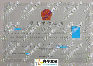 湛江师范学院2008年学位证书