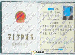 黑龙江科技学院2004年学士学位证书