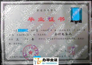 湖南理工职业技术学院2013年会计电算化大专毕业证