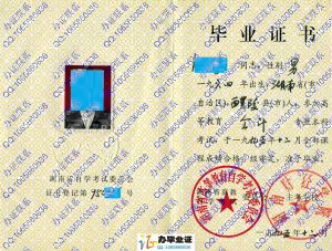 湖南财经学院1995年自考本科毕业证