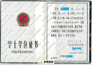 哈尔滨工程大学996年老式学位证书