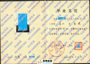 沈阳农业大学1993年农业建筑本科毕业证