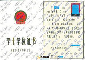 重庆大学2002年学位证