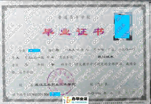 武汉工业职业技术学院2013年毕业证