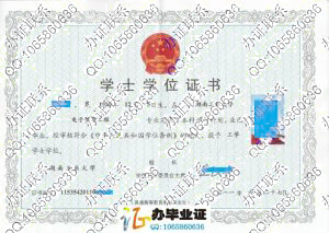 湖南工业大学2011年学位证