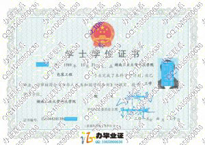 湖南工业大学科技学院2013年学位证