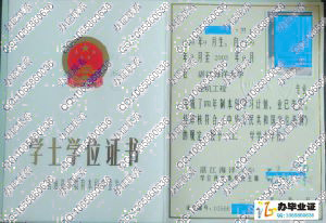 湛江海洋大学2003年学位证