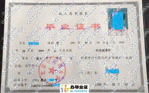 北京中医药大学2009年成人毕业证