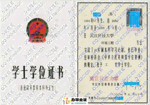 武汉科技大学2006年学位证