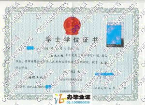 上海理工大学2009年学位证