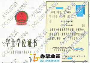 广东技术师范学院2005学位证 src=