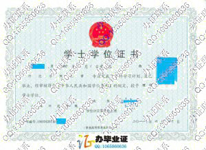 广西师范学院2011年学位证样本