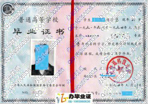武汉交通科技大学1994年毕业证样本