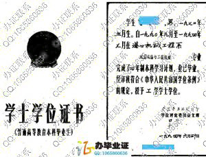 武汉交通科技大学1994年学士学位证样本